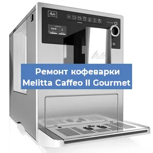 Ремонт капучинатора на кофемашине Melitta Caffeo II Gourmet в Ростове-на-Дону